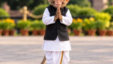 Photo of रमेश जोशी का व्यंग्य- ’56 इंच का छोटा बंदर’